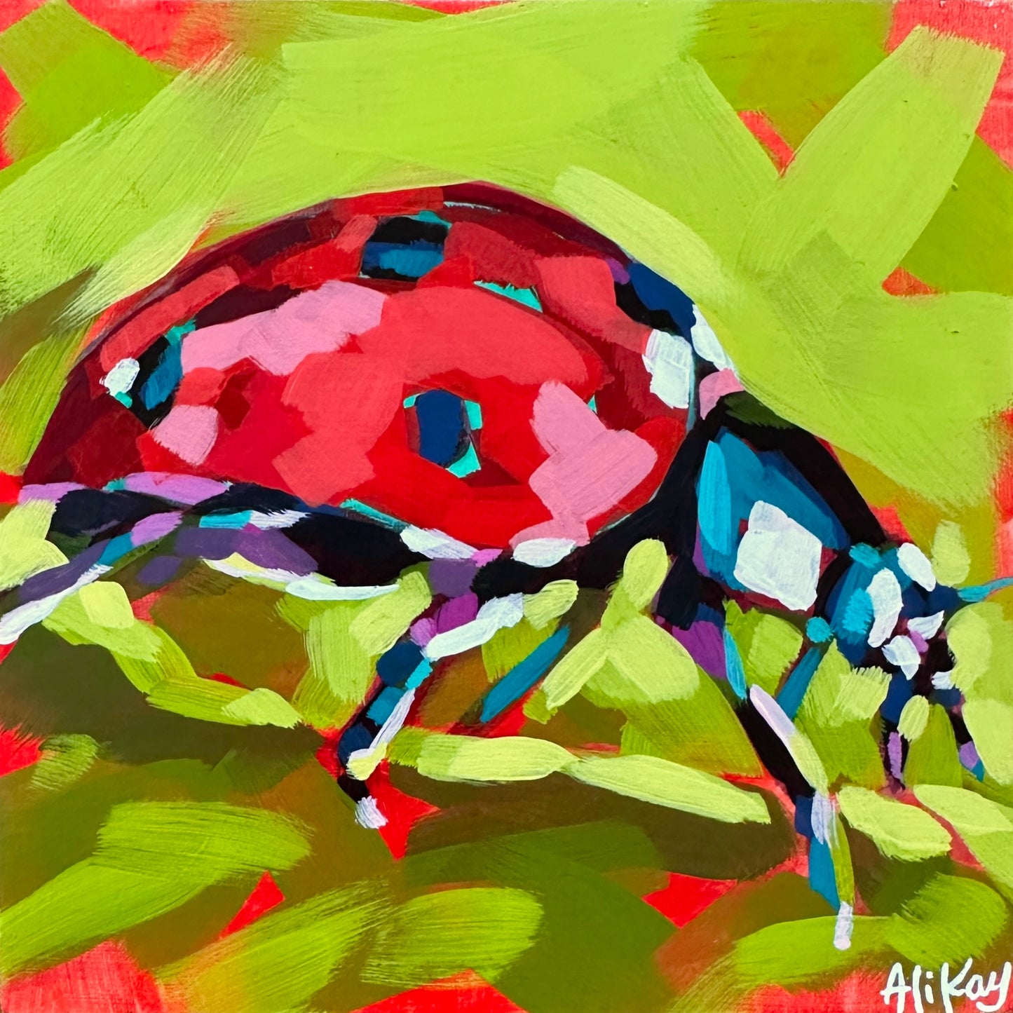 Lady Bug 6x6