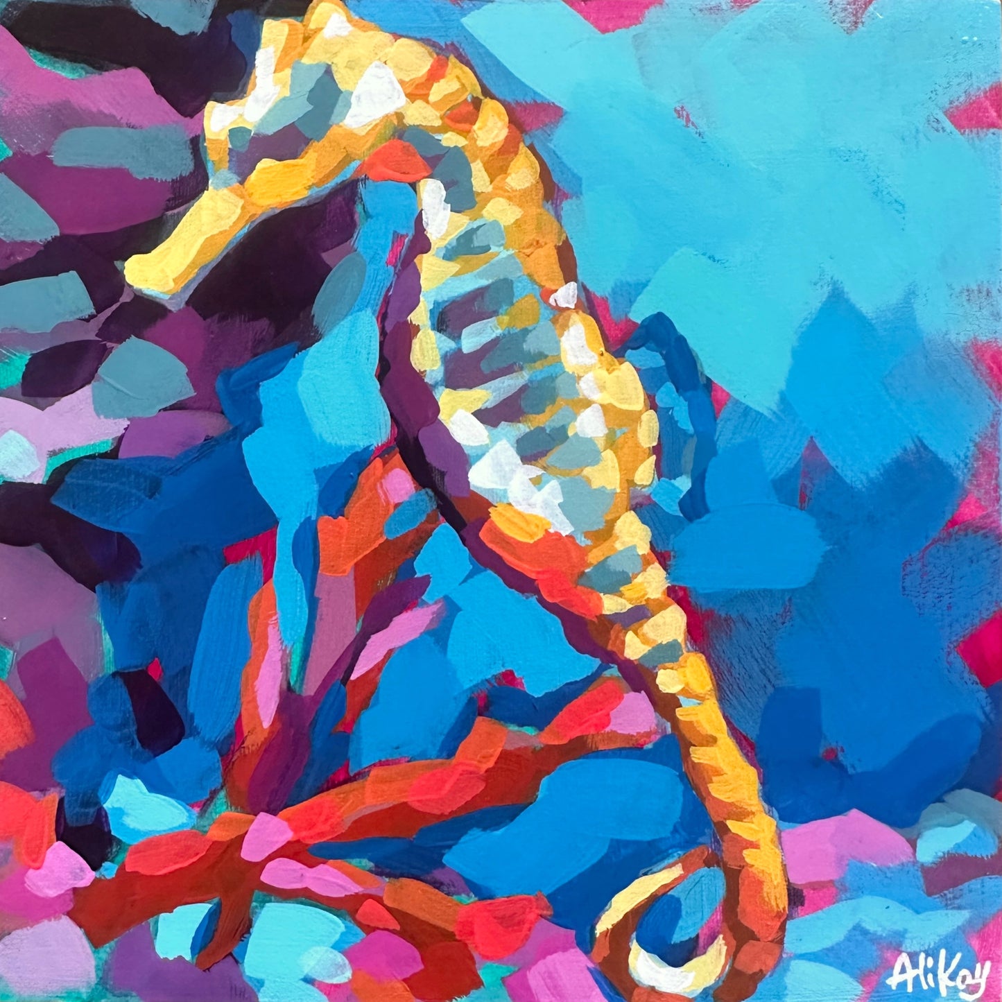Seahorse 6x6